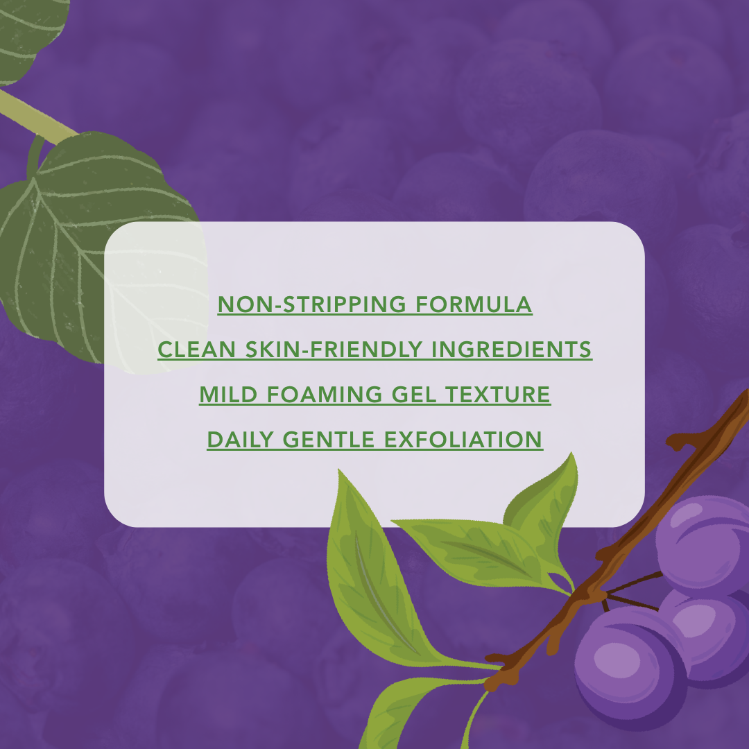 Blueberry & AHA Face Cleanser