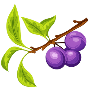 Blueberry